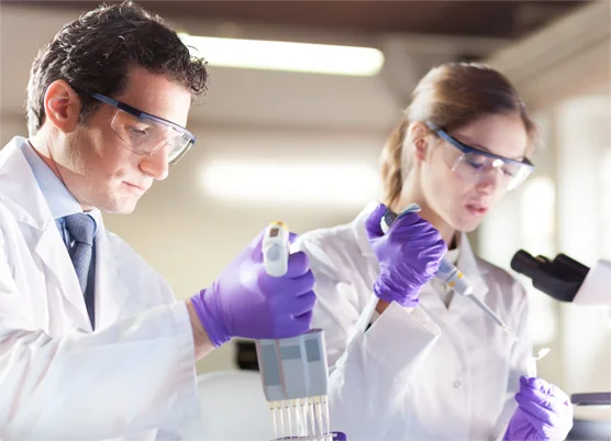 Programa de Investigación para Profesionales