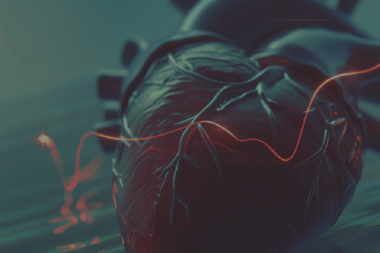 Cardiología de Precisión: presente y futuro